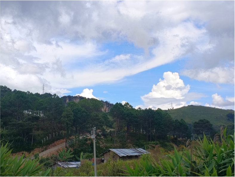 Paradise Plot-105 (Kalaw Garden Estate)